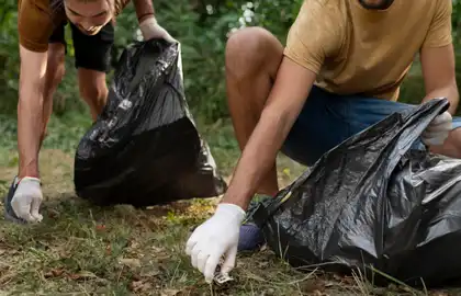 Waste removal